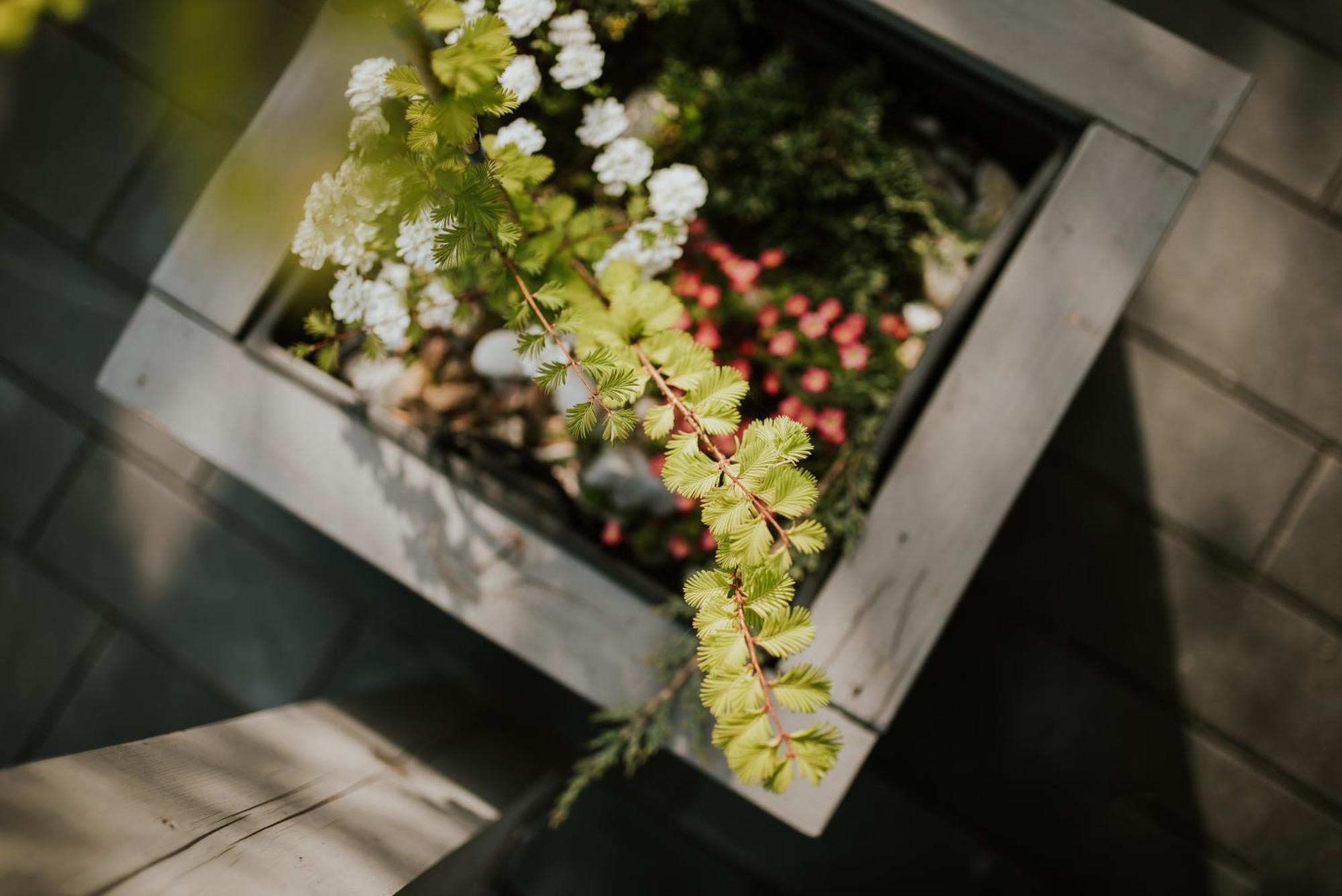 Apartamenty Las Zator Exteriér fotografie